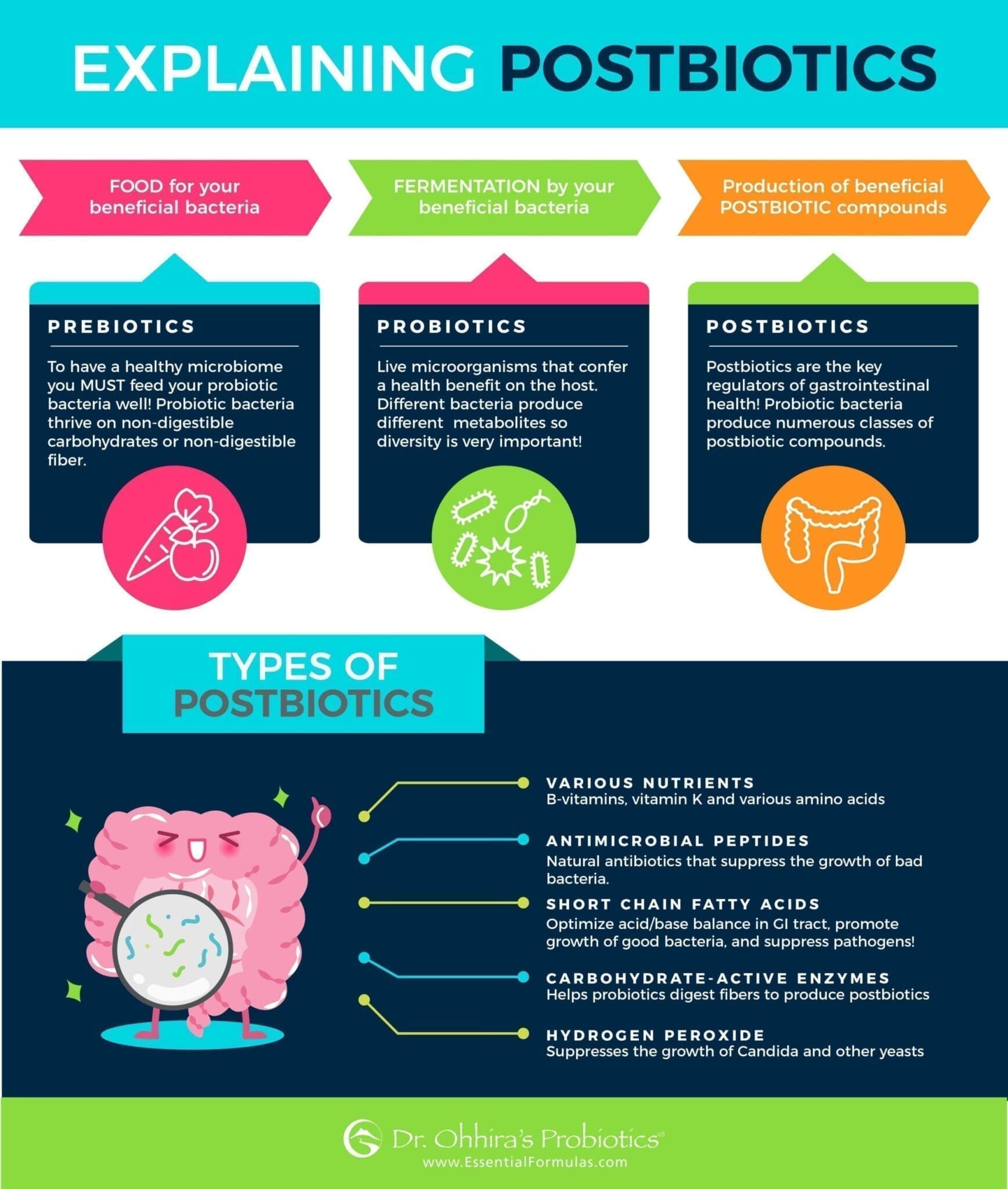 explaining postbiotic