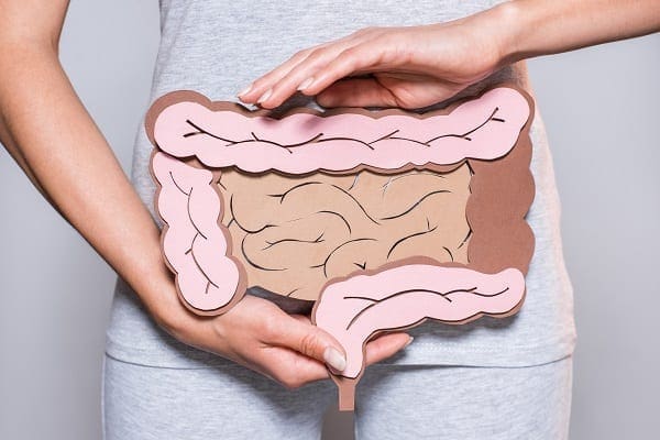 Better Gut Health With Probiotics