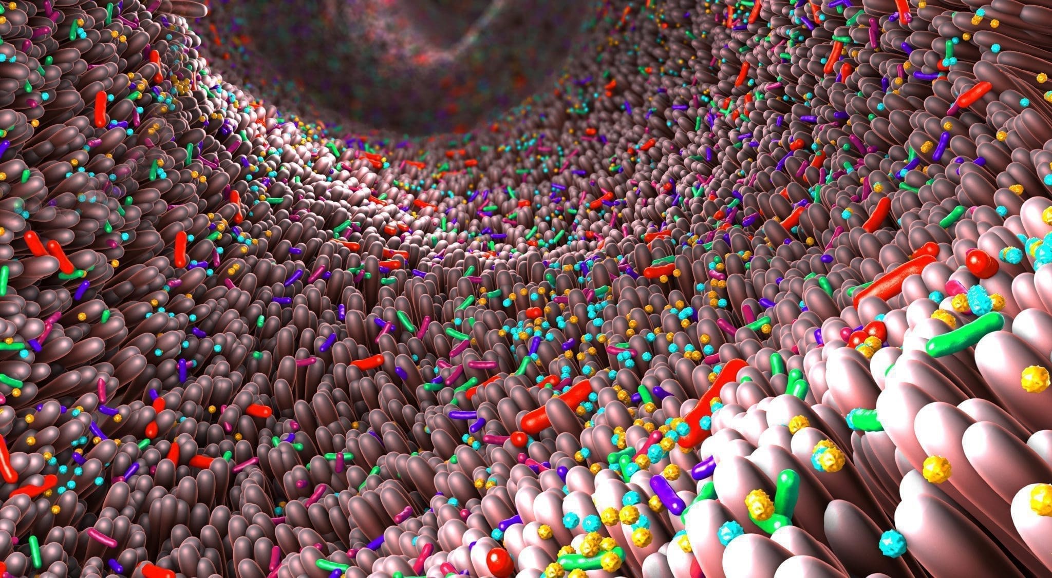 Your Microbiome is a Better Predictor of Long-Term Health Than Your Genes