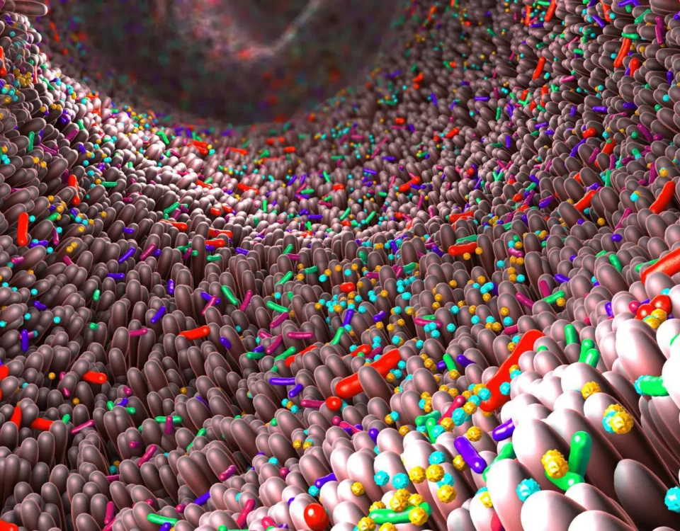 Your Microbiome is a Better Predictor of Long-Term Health Than Your Genes