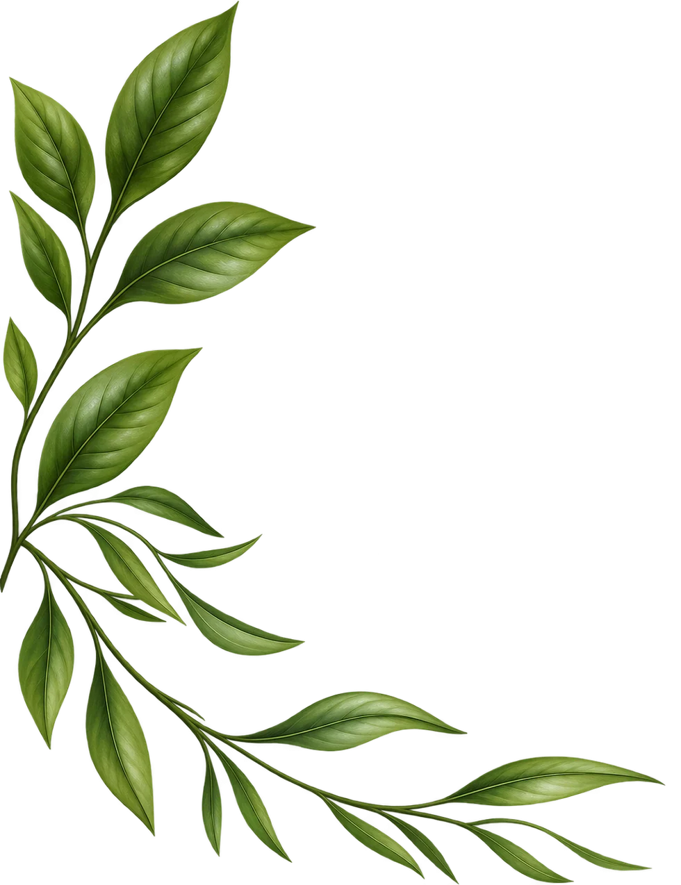 Green decorative leaves
